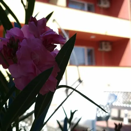 Naumovi 2 Apartment